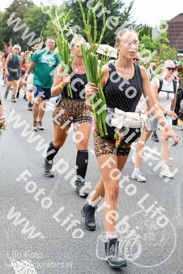 Evenement foto: Nijmeegse Vierdaagse 722