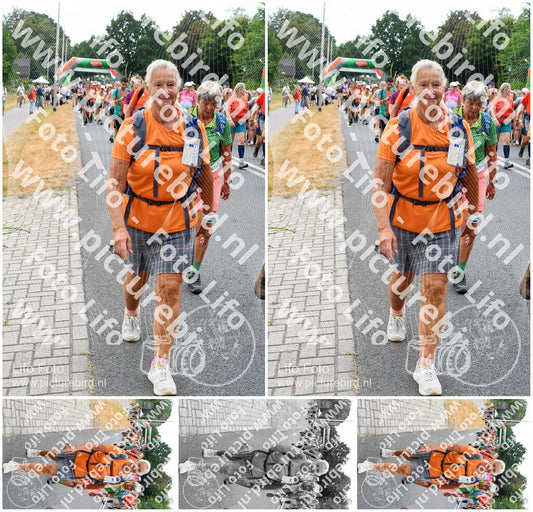 Evenement foto: Nijmeegse Vierdaagse 722
