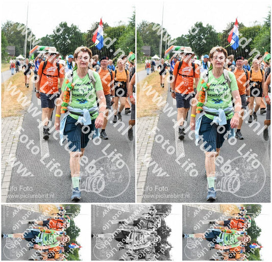 Evenement foto: Nijmeegse Vierdaagse 722