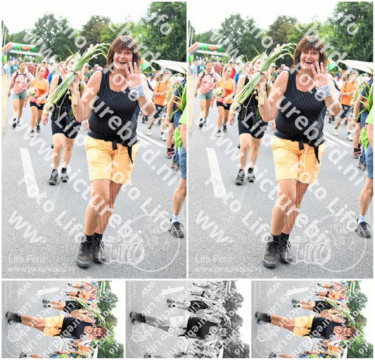 Evenement foto: Nijmeegse Vierdaagse 722
