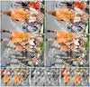 Evenement foto: Nijmeegse Vierdaagse 722