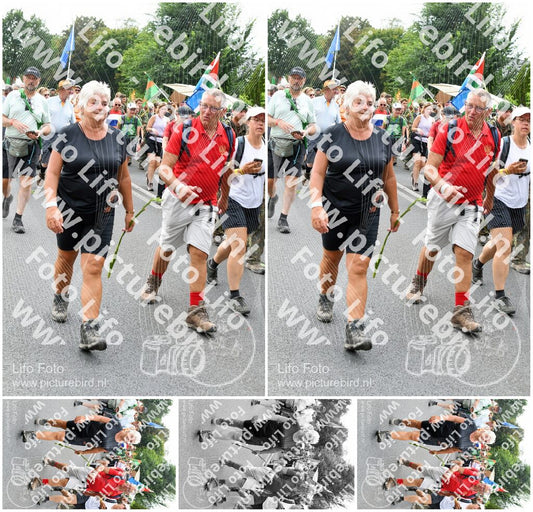 Evenement foto: Nijmeegse Vierdaagse 722