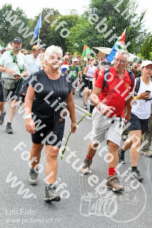 Evenement foto: Nijmeegse Vierdaagse 722
