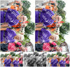 Evenement foto: Nijmeegse Vierdaagse 722