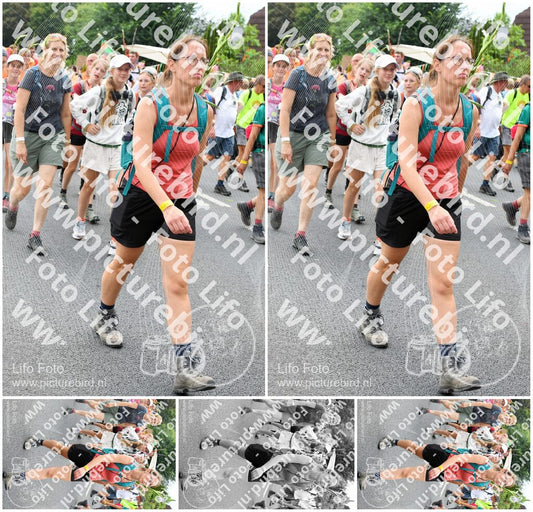 Evenement foto: Nijmeegse Vierdaagse 722