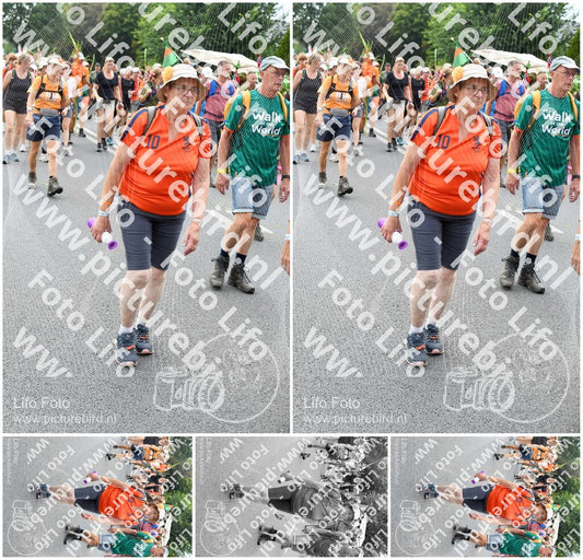 Evenement foto: Nijmeegse Vierdaagse 722
