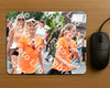Evenement foto: Nijmeegse Vierdaagse 722