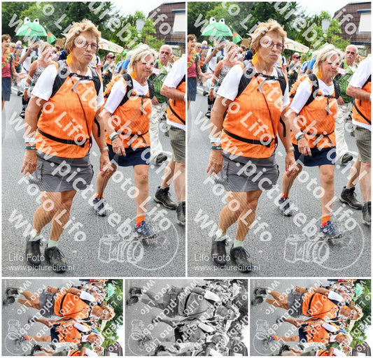 Evenement foto: Nijmeegse Vierdaagse 722
