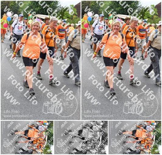 Evenement foto: Nijmeegse Vierdaagse 722