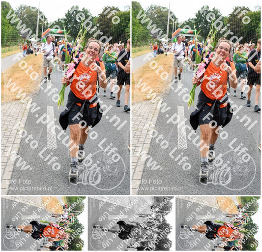 Evenement foto: Nijmeegse Vierdaagse 722