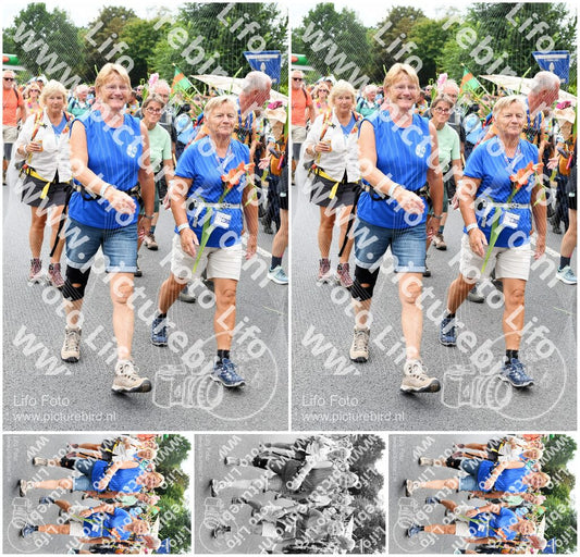 Evenement foto: Nijmeegse Vierdaagse 721