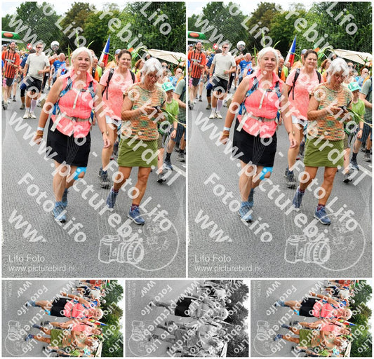 Evenement foto: Nijmeegse Vierdaagse 721