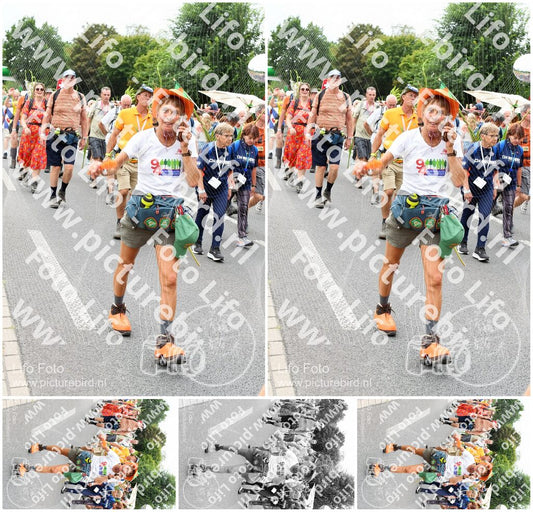 Evenement foto: Nijmeegse Vierdaagse 721