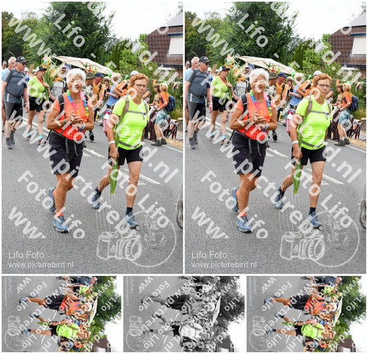 Evenement foto: Nijmeegse Vierdaagse 721