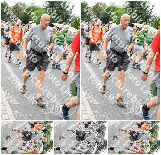 Evenement foto: Nijmeegse Vierdaagse 721