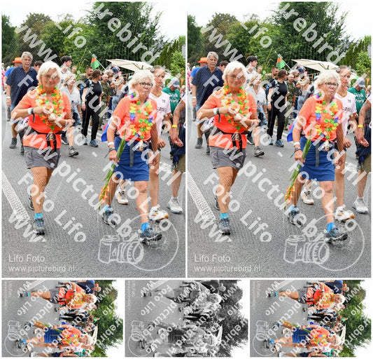 Evenement foto: Nijmeegse Vierdaagse 721