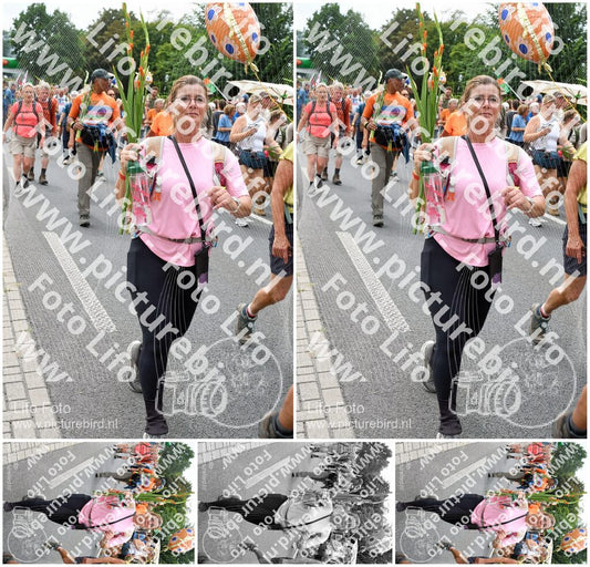 Evenement foto: Nijmeegse Vierdaagse 721