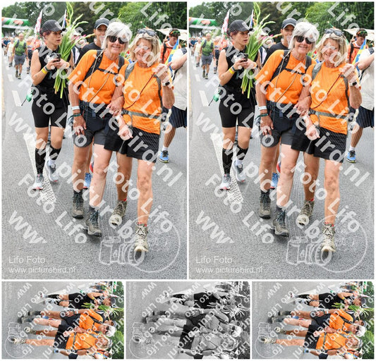 Evenement foto: Nijmeegse Vierdaagse 721