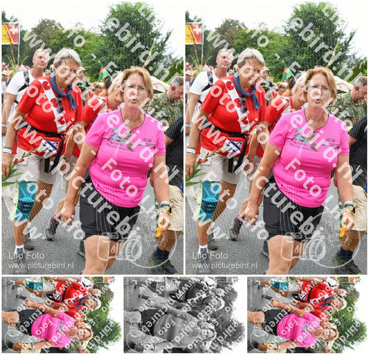 Evenement foto: Nijmeegse Vierdaagse 721