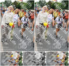 Evenement foto: Nijmeegse Vierdaagse 721