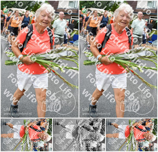 Evenement foto: Nijmeegse Vierdaagse 720