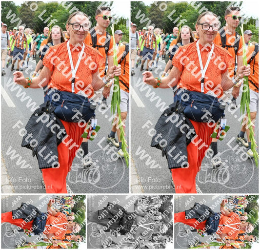 Evenement foto: Nijmeegse Vierdaagse 720