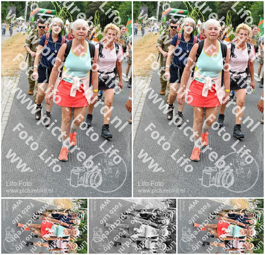 Evenement foto: Nijmeegse Vierdaagse 720