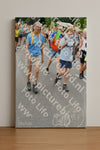 Evenement foto: Nijmeegse Vierdaagse 720