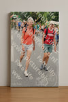 Evenement foto: Nijmeegse Vierdaagse 720