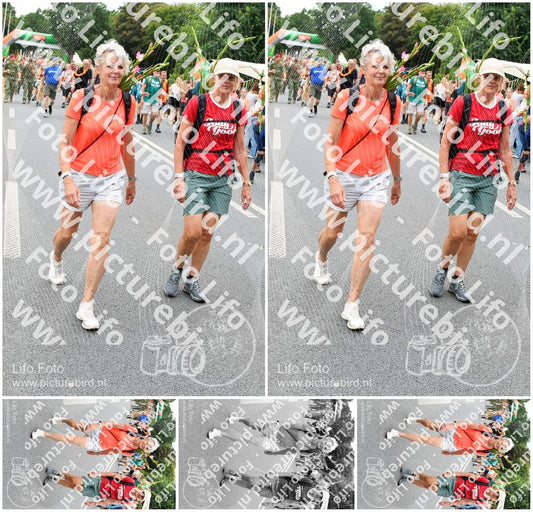 Evenement foto: Nijmeegse Vierdaagse 720