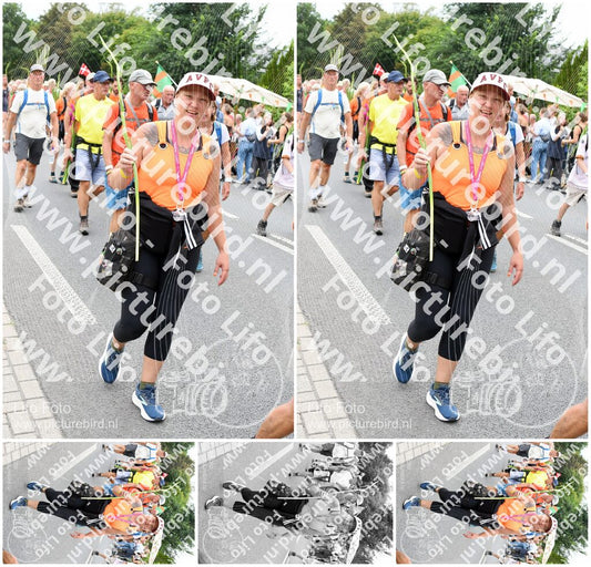 Evenement foto: Nijmeegse Vierdaagse 720