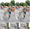 Evenement foto: Nijmeegse Vierdaagse 720