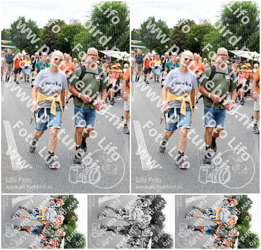Evenement foto: Nijmeegse Vierdaagse 720
