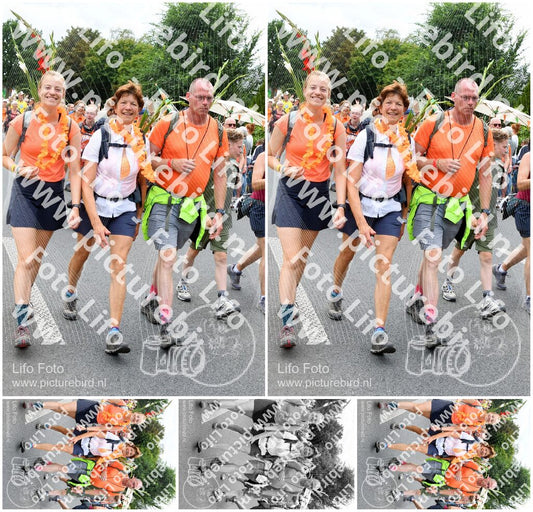 Evenement foto: Nijmeegse Vierdaagse 720