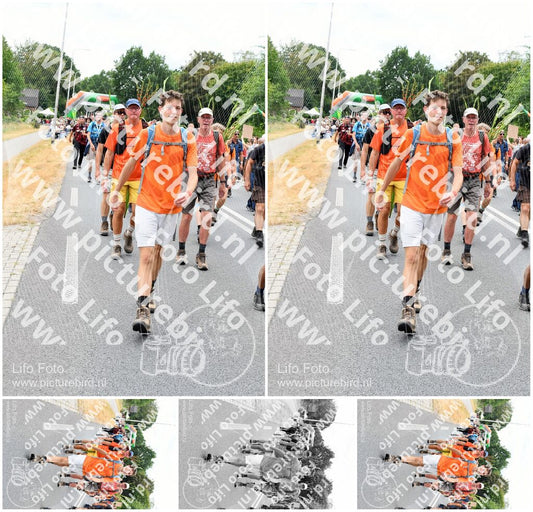 Evenement foto: Nijmeegse Vierdaagse 720