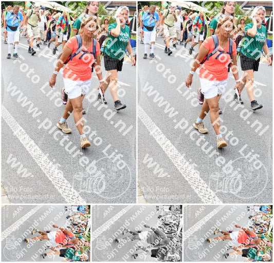 Evenement foto: Nijmeegse Vierdaagse 720