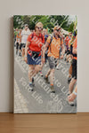 Evenement foto: Nijmeegse Vierdaagse 719