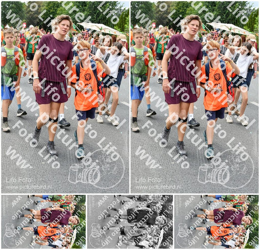 Evenement foto: Nijmeegse Vierdaagse 719