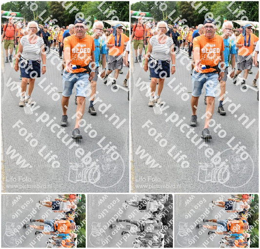 Evenement foto: Nijmeegse Vierdaagse 719