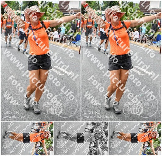 Evenement foto: Nijmeegse Vierdaagse 719