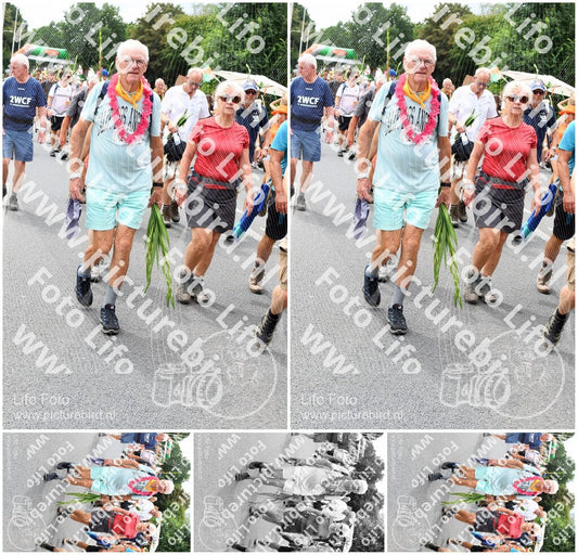 Evenement foto: Nijmeegse Vierdaagse 719