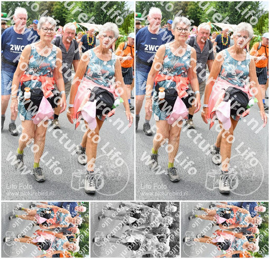 Evenement foto: Nijmeegse Vierdaagse 719