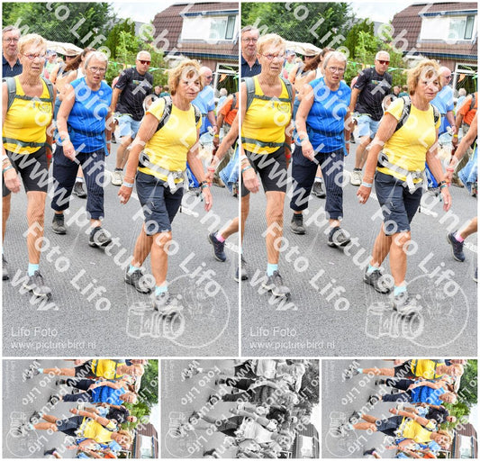 Evenement foto: Nijmeegse Vierdaagse 719