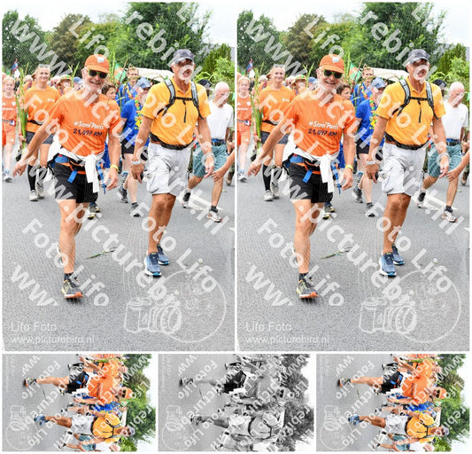 Evenement foto: Nijmeegse Vierdaagse 719