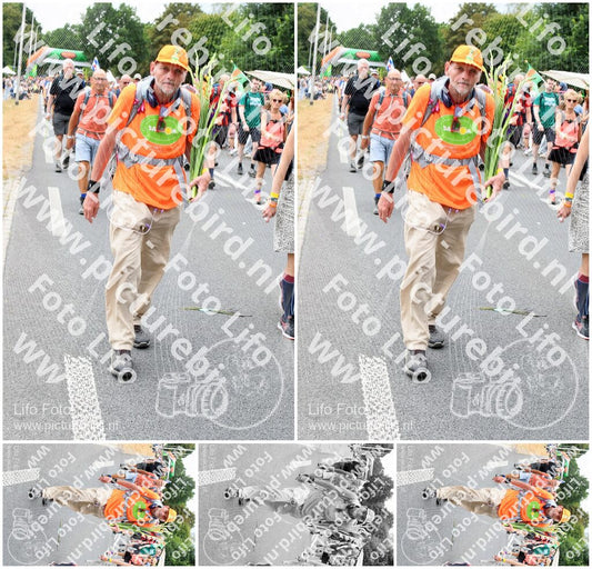 Evenement foto: Nijmeegse Vierdaagse 719