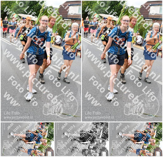 Evenement foto: Nijmeegse Vierdaagse 719