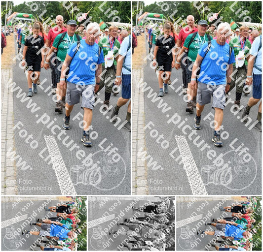 Evenement foto: Nijmeegse Vierdaagse 719