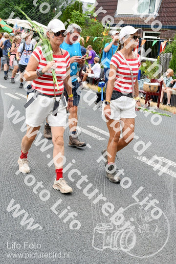 Evenement foto: Nijmeegse Vierdaagse 719