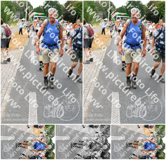 Evenement foto: Nijmeegse Vierdaagse 719
