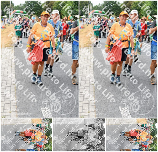 Evenement foto: Nijmeegse Vierdaagse 718